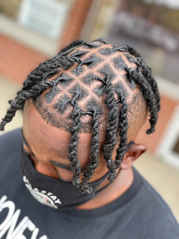 Half Shaved Two Strand Twist/Plaits