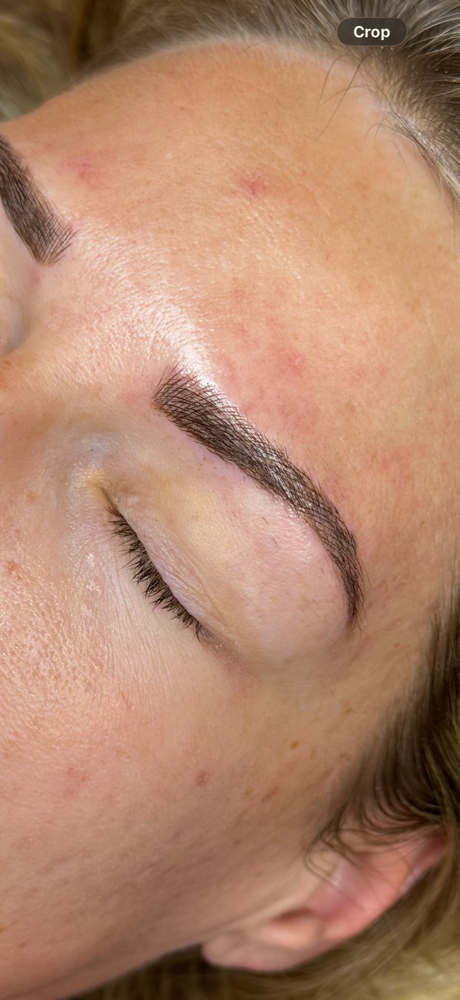 PMU 6-8 Week Touch Up