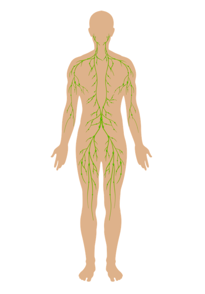 Lymphatic Massage