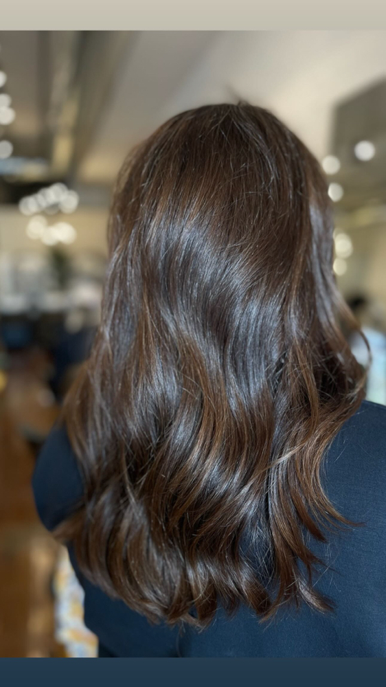 Women's Cut