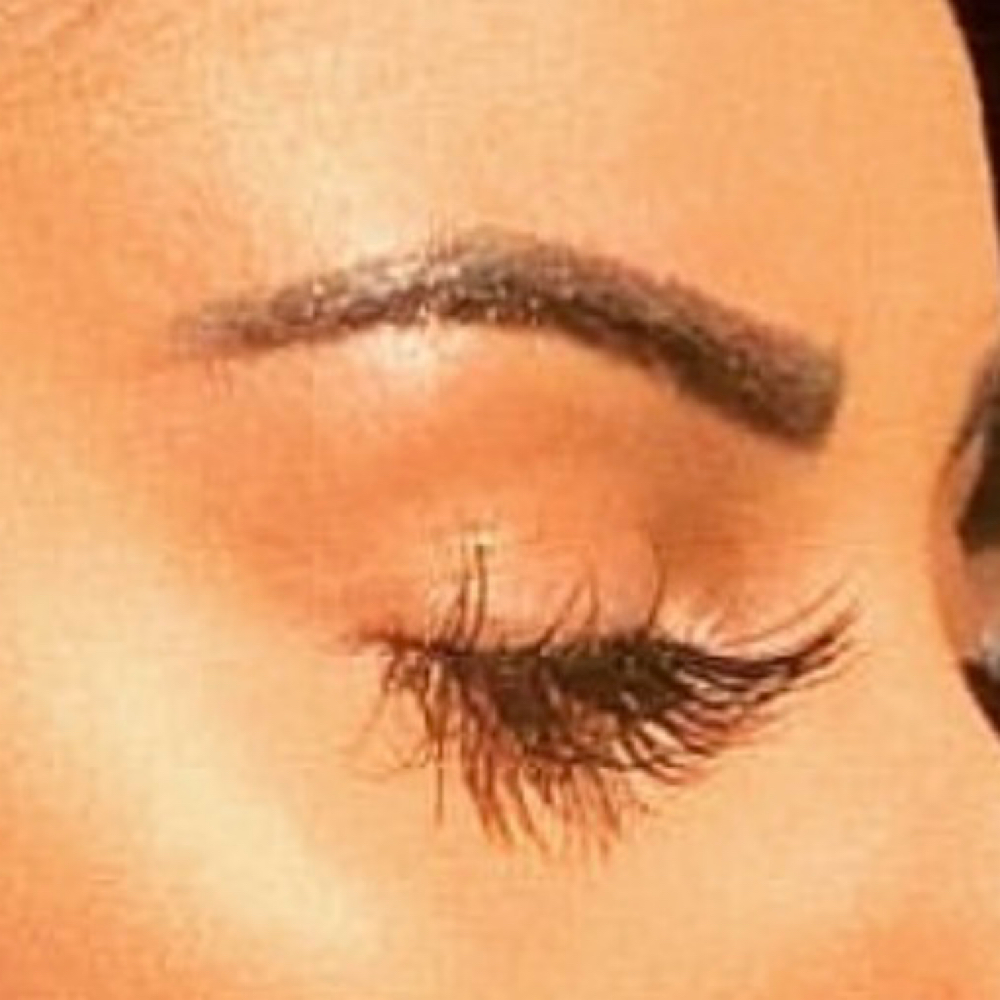 Brow Retouch (4-8 weeks) at Skin Fixation & Esthetic Training in Port Saint Lucie, FL