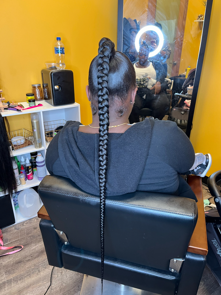 Braided Pony
