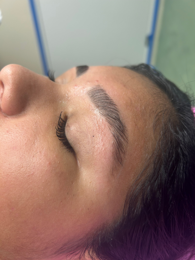 Brow Lami, Wax+ Tint at WaxPlugLaura in Lincoln, NE