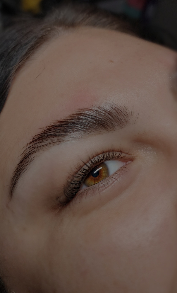 The Perfect Brows