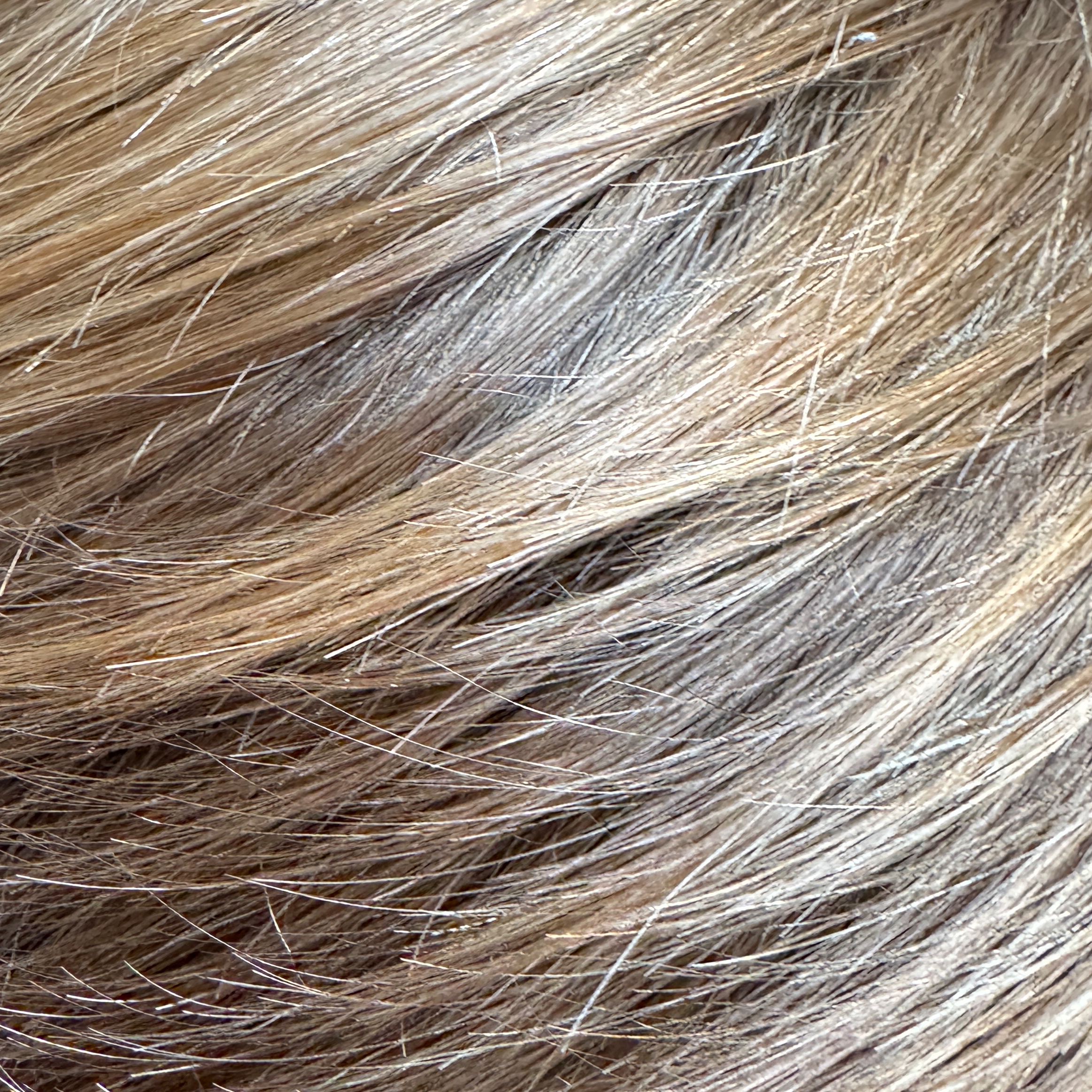 Toner (stand-alone) at Hair by Kristen McGraw in El Grenada, CA
