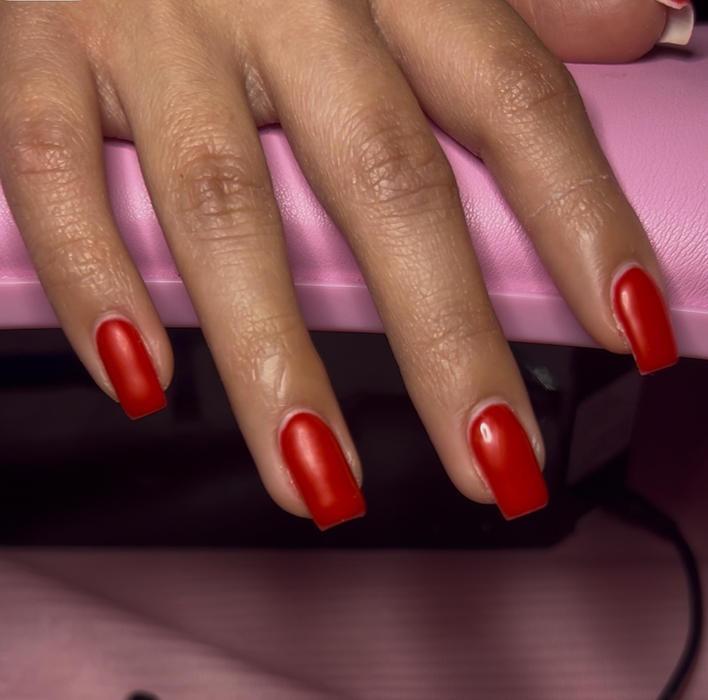 Gel Builder One Color / French