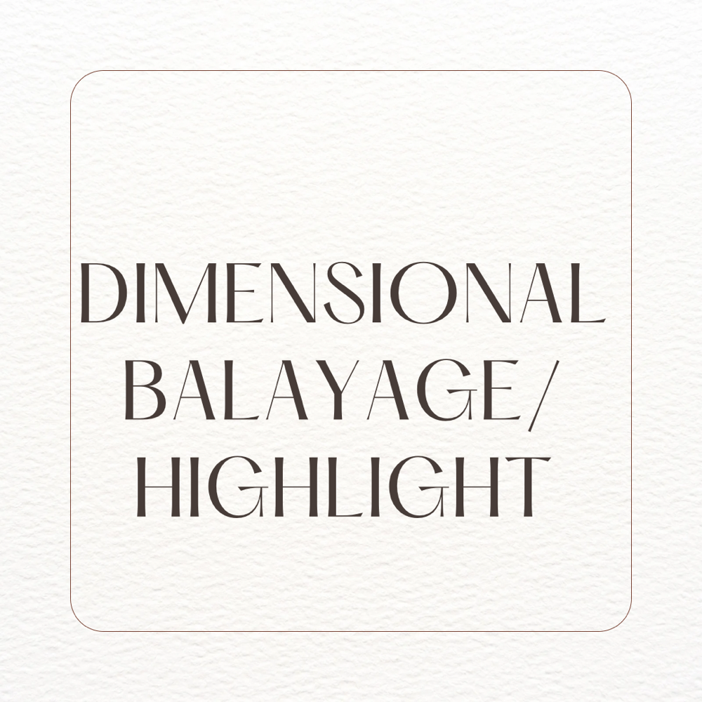 Dimensional Balayage/ Highlight