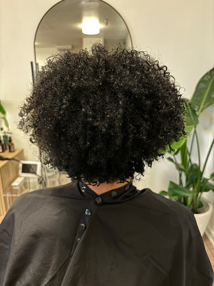 Sol Shaping Cut