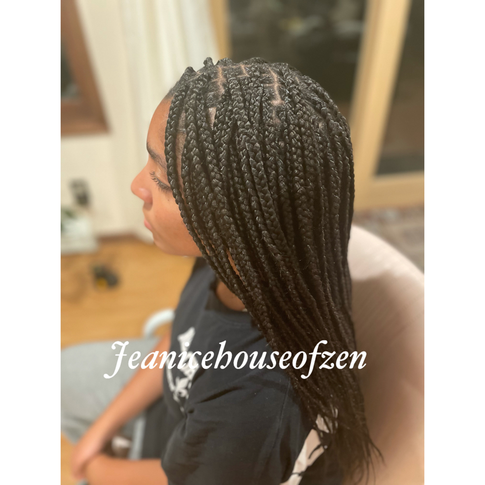 Small Box Braids