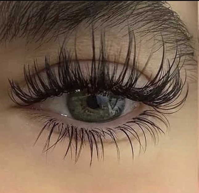 “Cute & Classic” Lash Fill