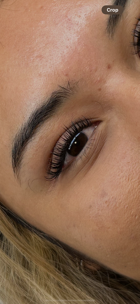 Fairy Lashes