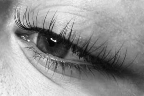 Classic Lash Full Set