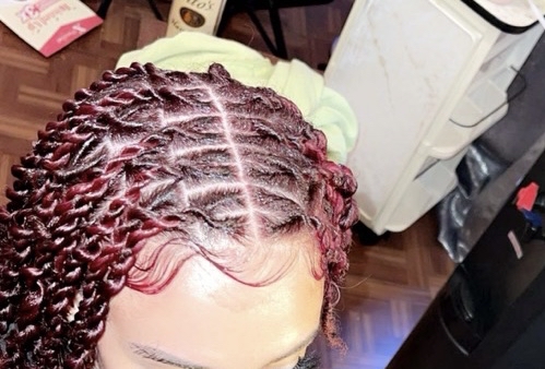 2 Strand Twist at Aaliyah’s Creations in Manchester, NH