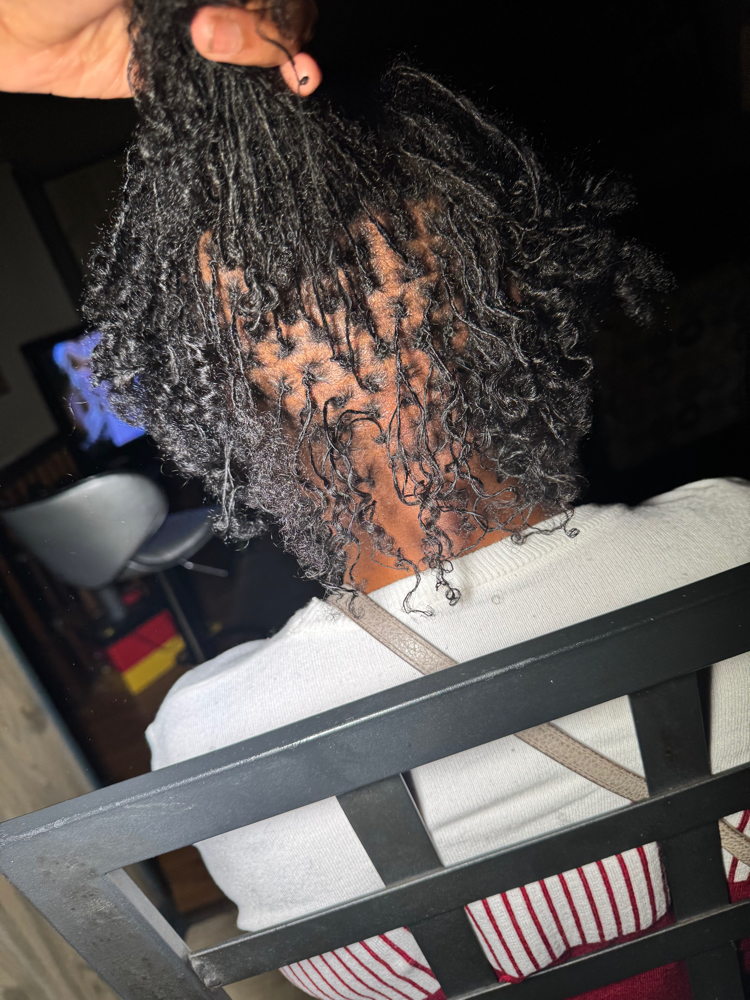 Longer Length - sister Locs