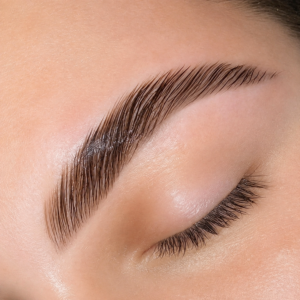 Brow Lamination & Tint at Weston Lashes in Weston, FL