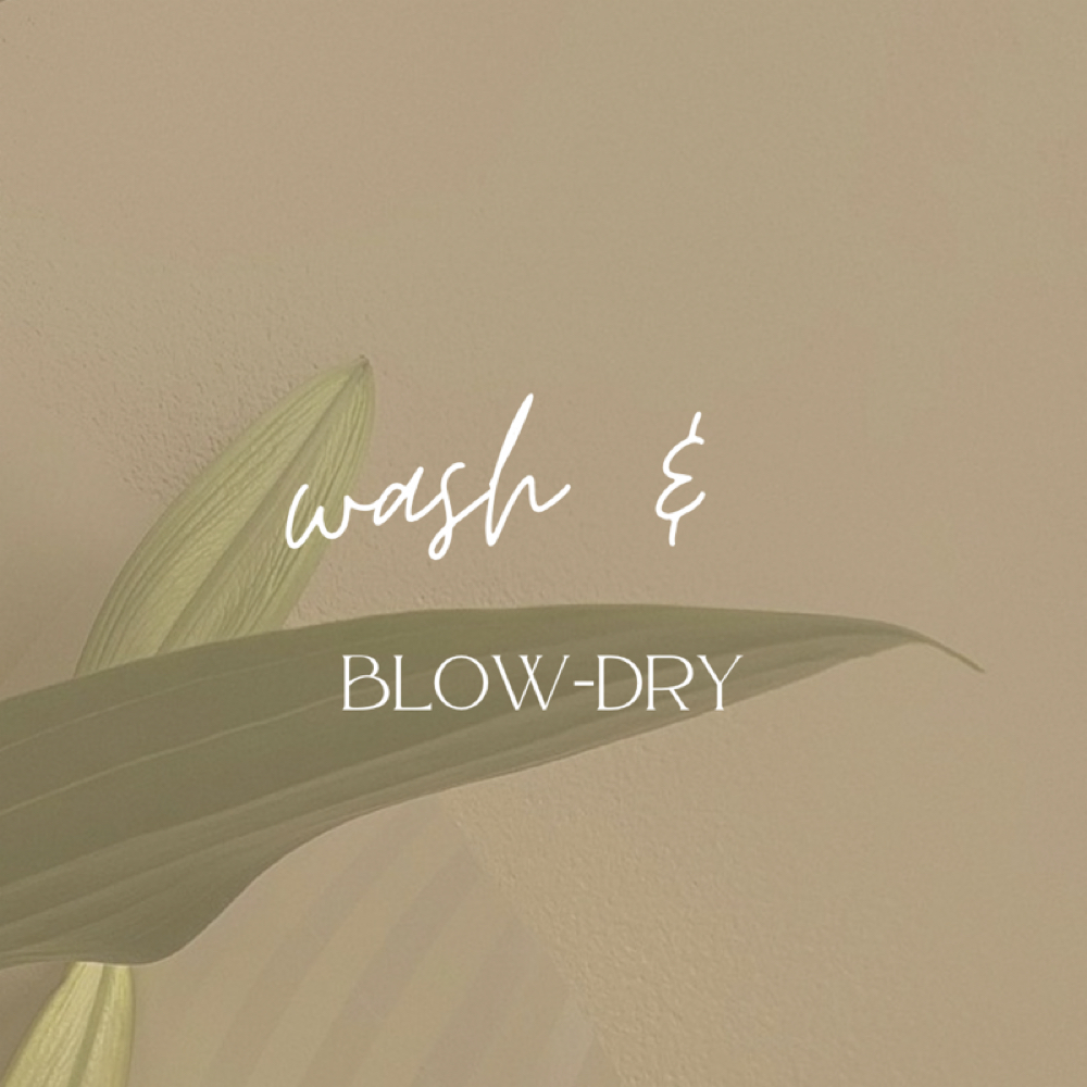 Wash with Blow-dry at Hair by Alexis McCaw in New Hartford, CT