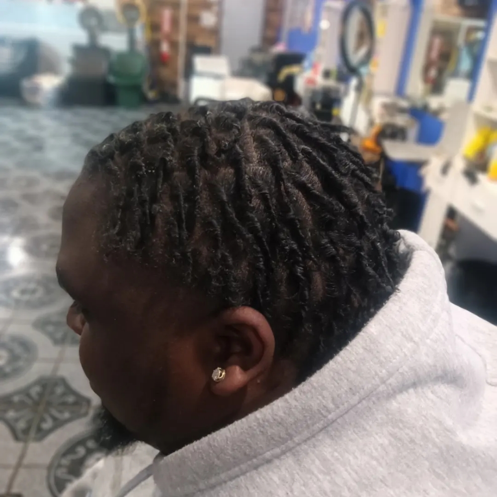 Adult Starter Locs