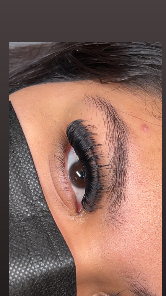Wispy Mega Volume Lashes