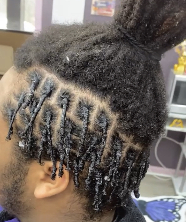 Starter Locs (half)
