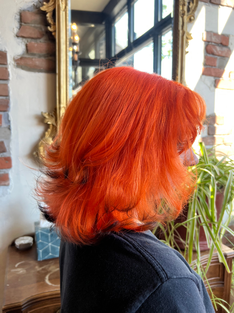 All Over Vivid Retouch at Cleveland Hair Fairy in Lakewood, OH