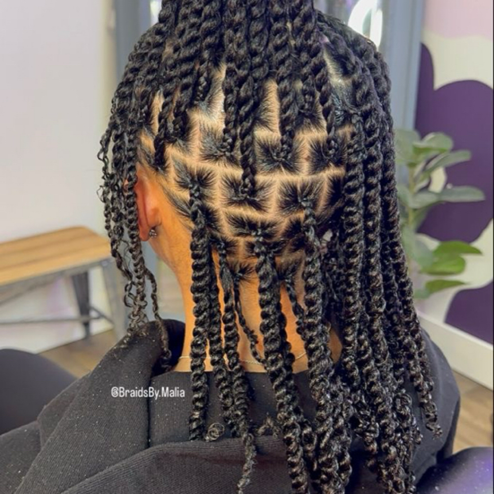 Women Individual Two Strand Twist at Zara Hair Braiding Salon in 30328