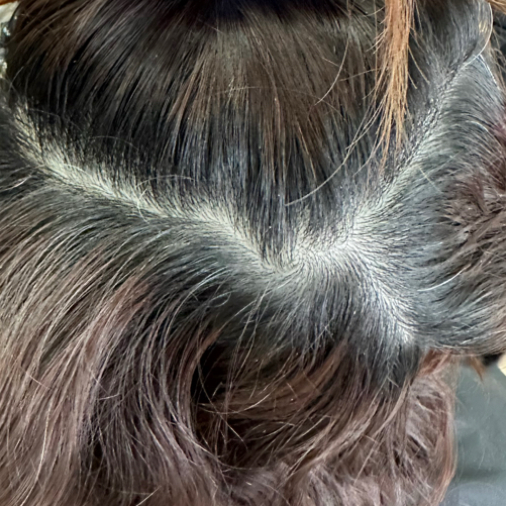Root Touch (Single Color) at The Look in Greenbrier, AR
