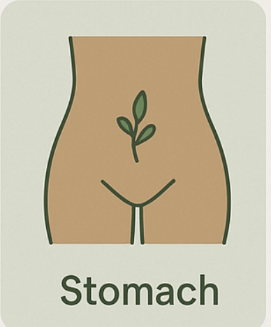 Full Stomach