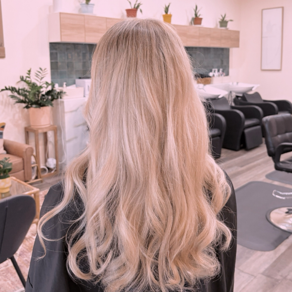 bleach society at starbestylin in seminole, FL