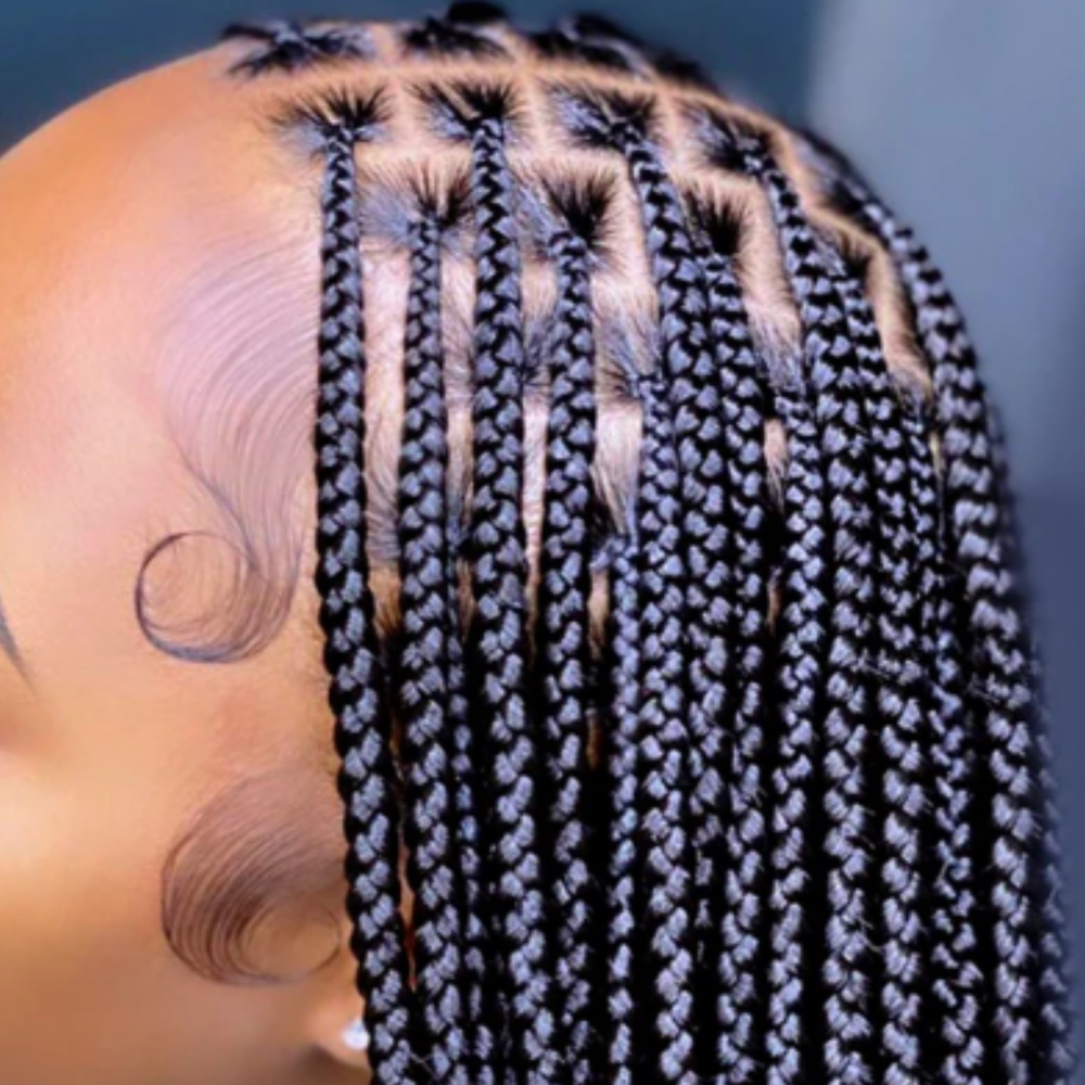 Small Braids at Hair by The Beauty Genius in Houston, TX