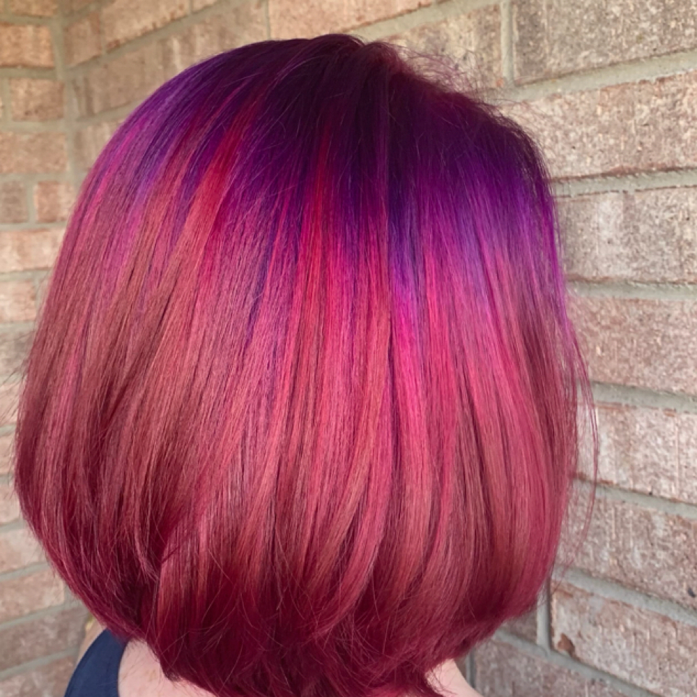 Vivid Maintenance(No Bleach) at Celestial Hair By Lauren in Arlington, TX
