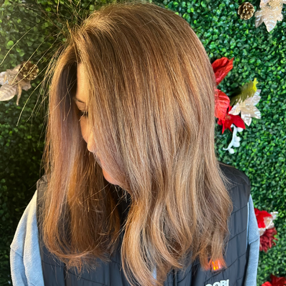 All Over Color W/ Partial HL & Cut at Elysie Rae Hair Studio in Kennesaw, GA