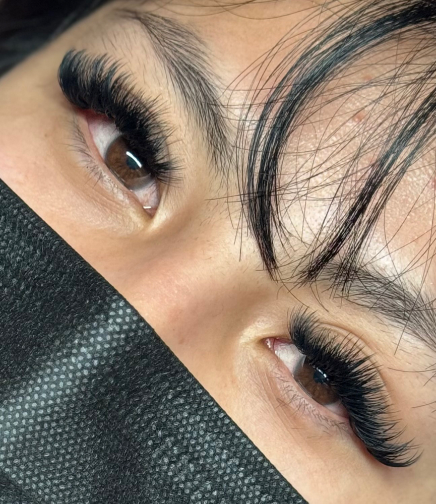 Volume 2-3 Weeks Fill at Aesthetic Lash Glow in Of Appointment, AZ