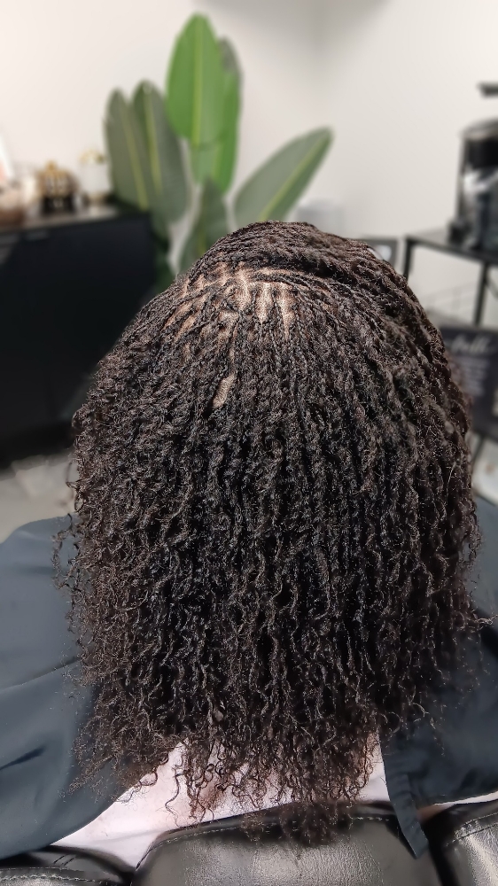 Belle Microlocs ™️ Twists (6-8inch) at Mirror Emajez in Amherst, NY