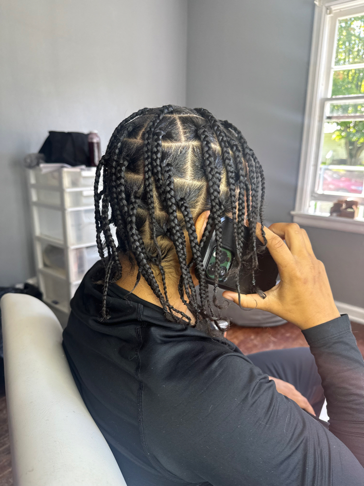 Single Plait Braids “full Head “