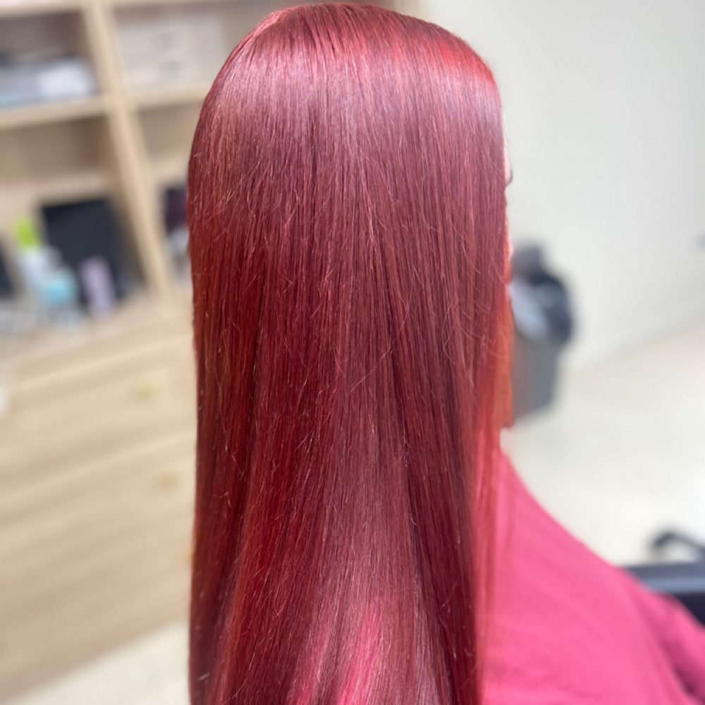 All Over Color at Willow & Ivory Hair Studio in Largo, FL