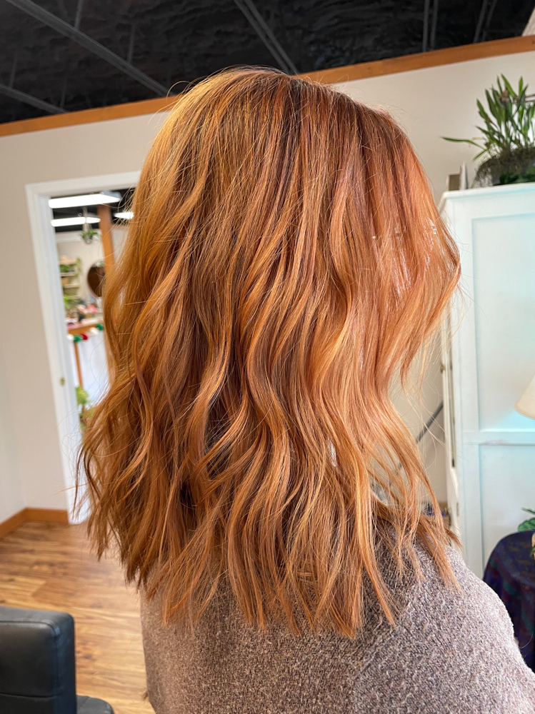 Dry Haircut at Lauren Wilhelm in Crawfordville, FL