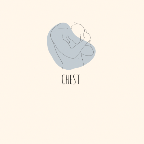 Chest