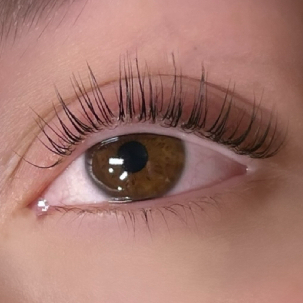 $40 Korean Lash Lift TUESDAY ONLY at Elevated Lashes By Estella in TX, TX