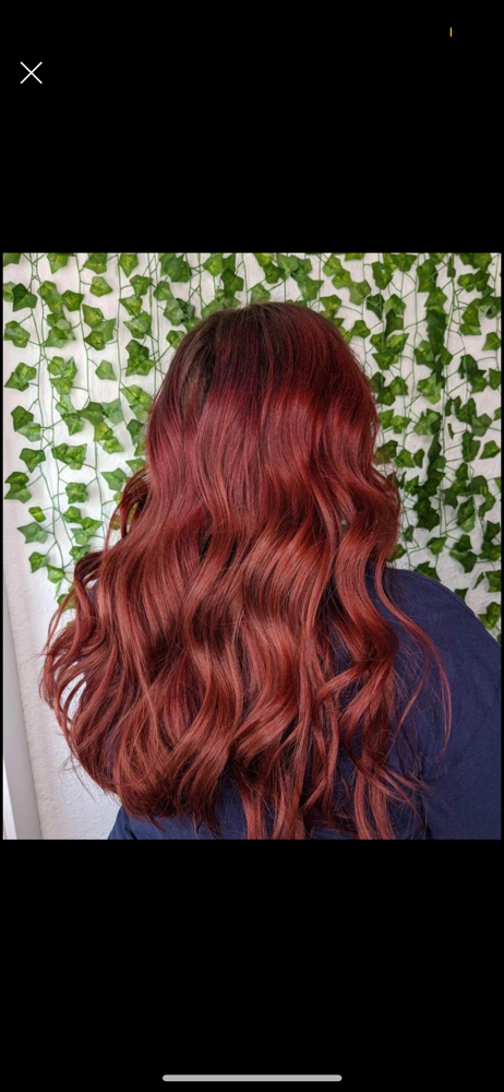 Root Touch Up