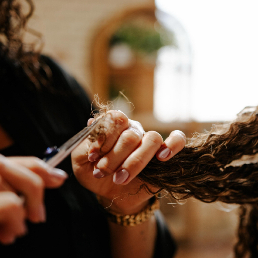 Curly Cut + Wash + Style at The Rose Room in Greenviile, MI