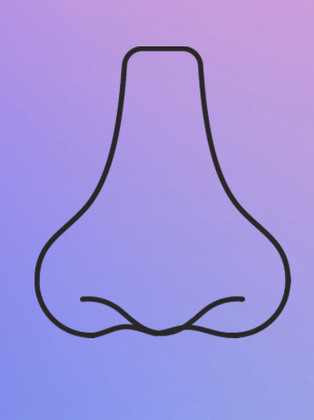 Nose