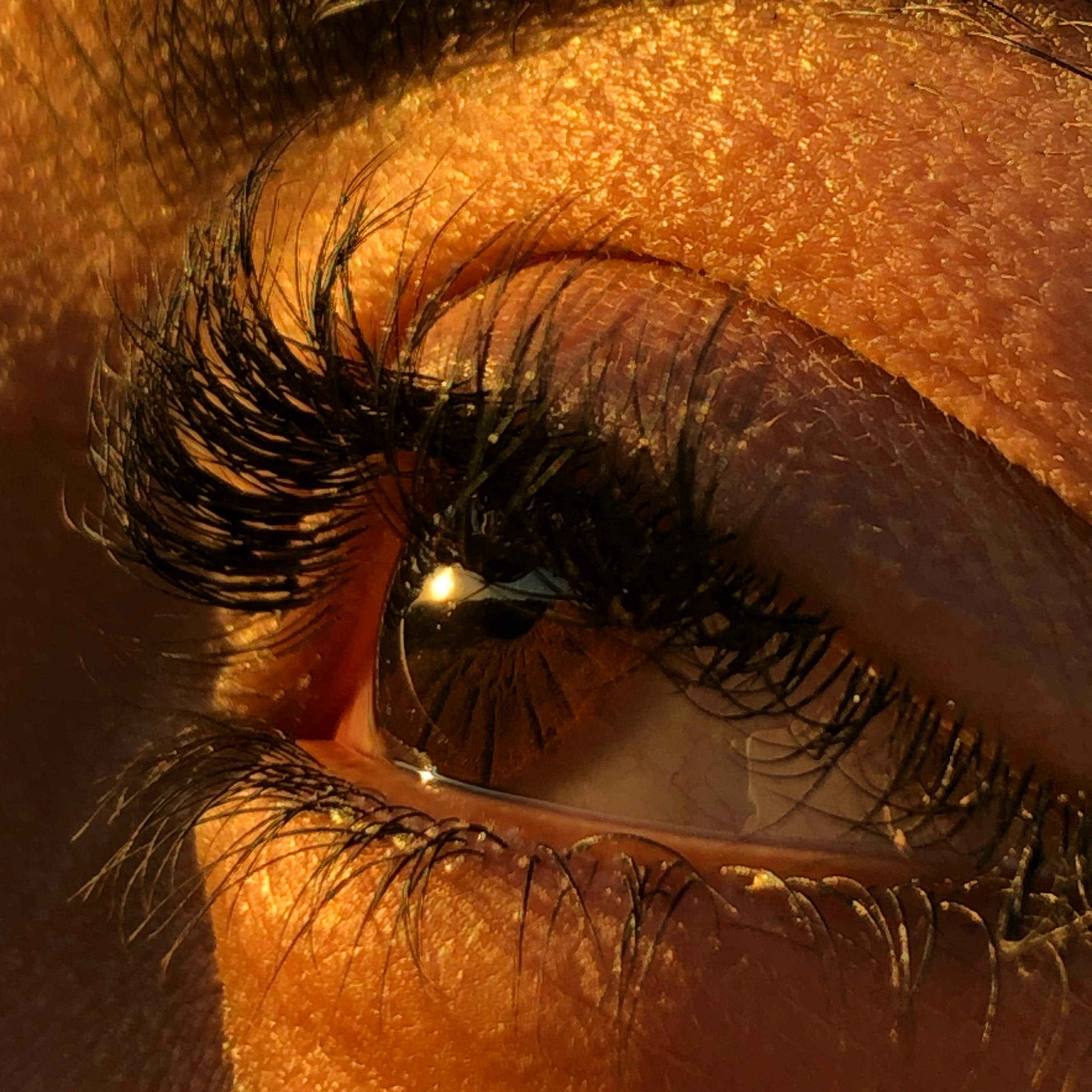 Cluster Lashes at 1st Imprecćions Salon in Philadelphia, PA