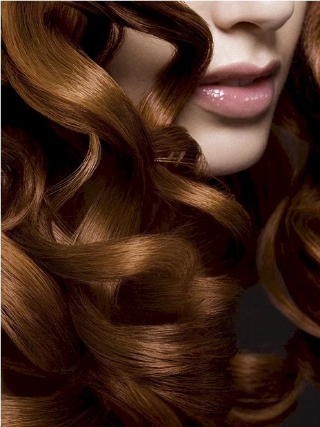 Shampoo & Blow Out at TS Style Studio in Clarkston, MI