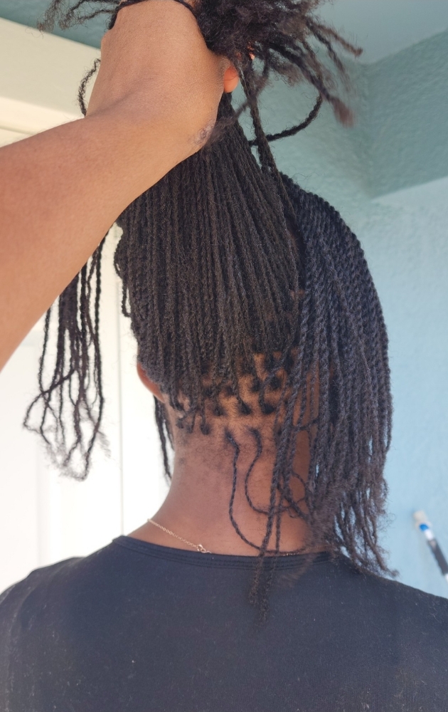 🔶️(KIDS) Micro LOCS(twists/Braids) at ✨️House of Organic Beauty ✨️ in Lehigh Acres, FL
