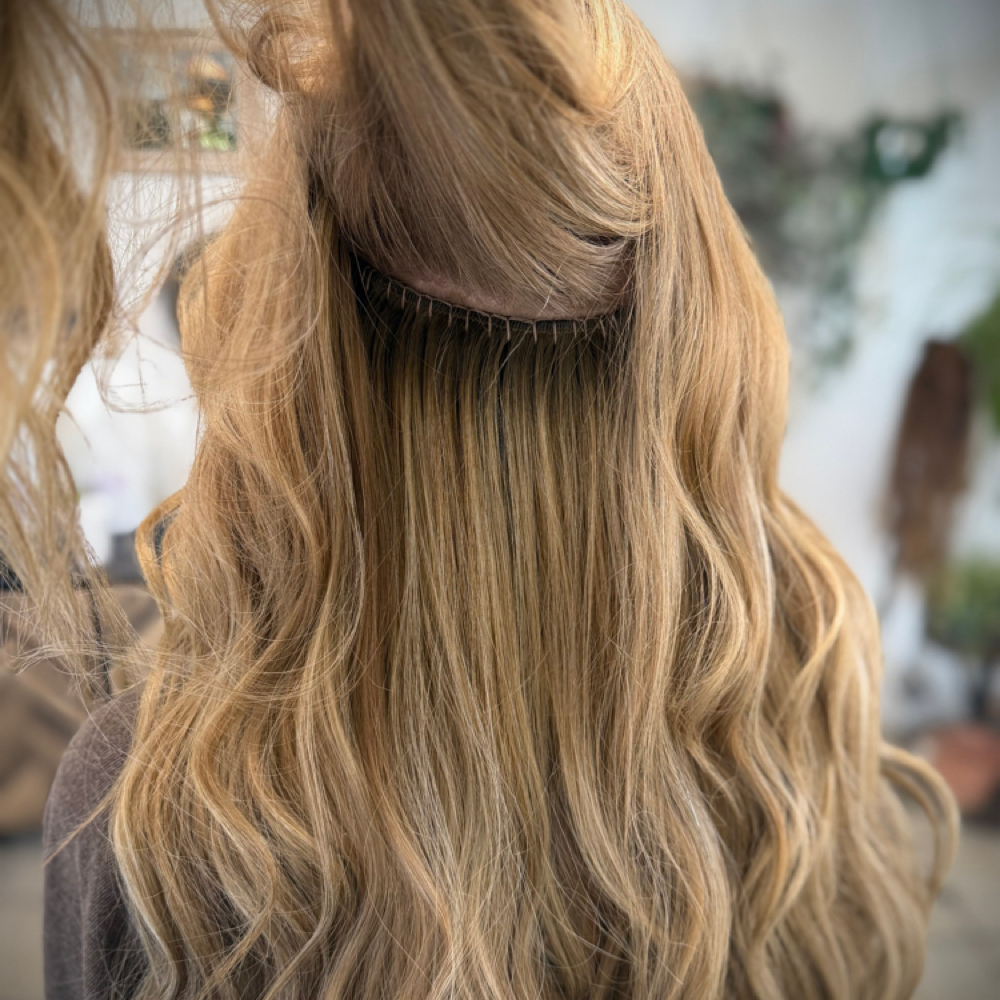 2 Row Move Up at Lotus + June in Oklahoma City, OK