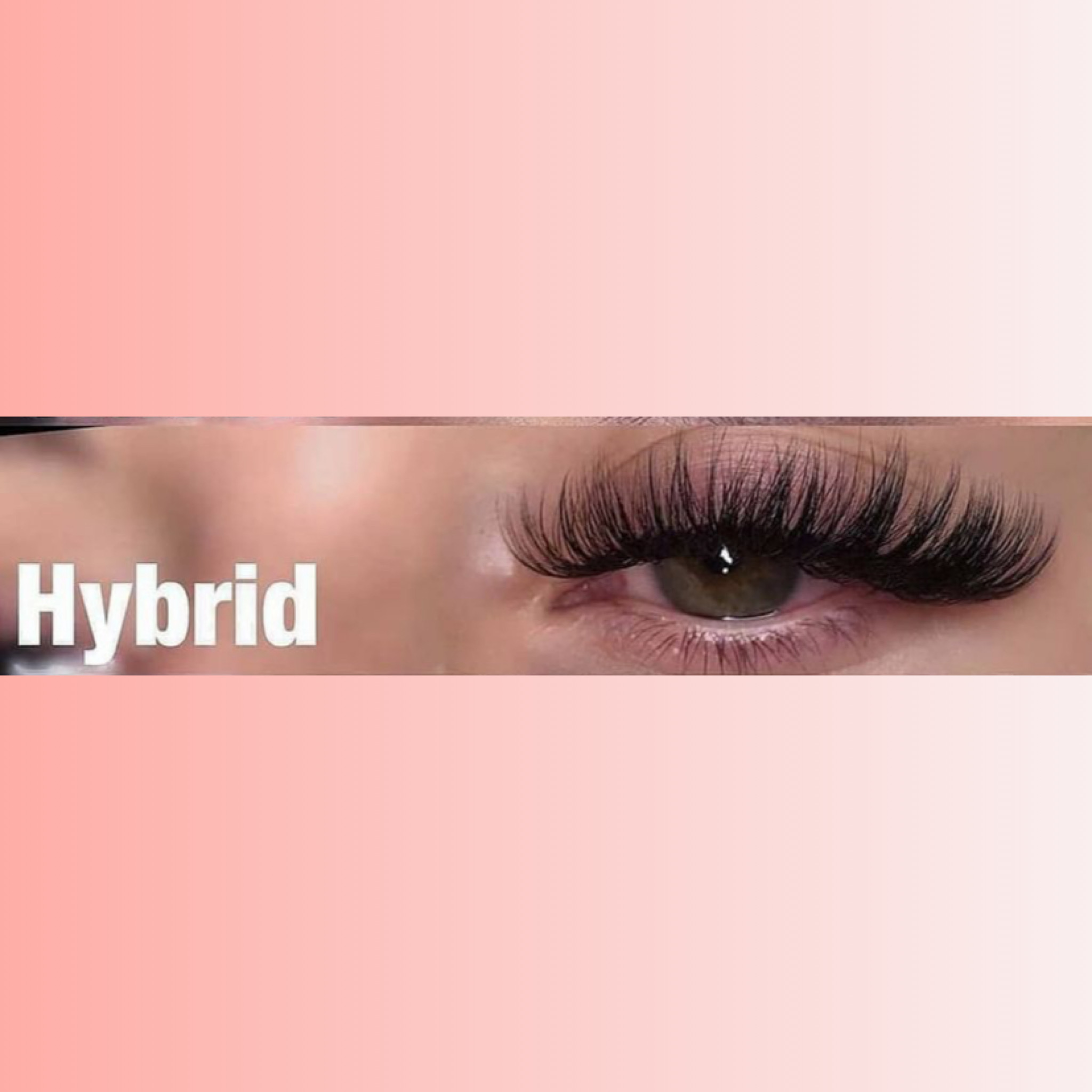 Hybrid 3 Week Fill-in