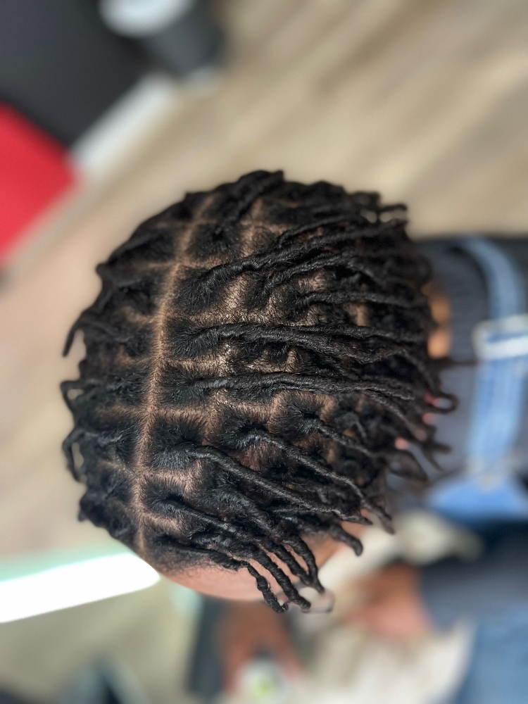 Starter Locs