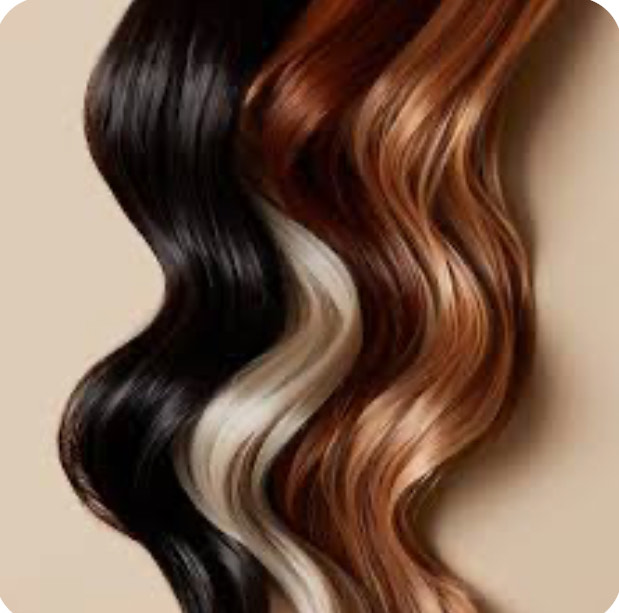 Hair Rehabilitation Services