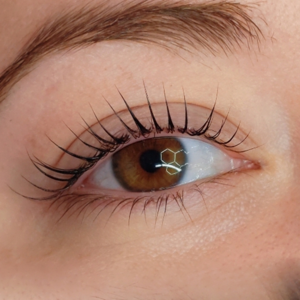 K Lash Lift at Beauty By She in Knoxville, TN