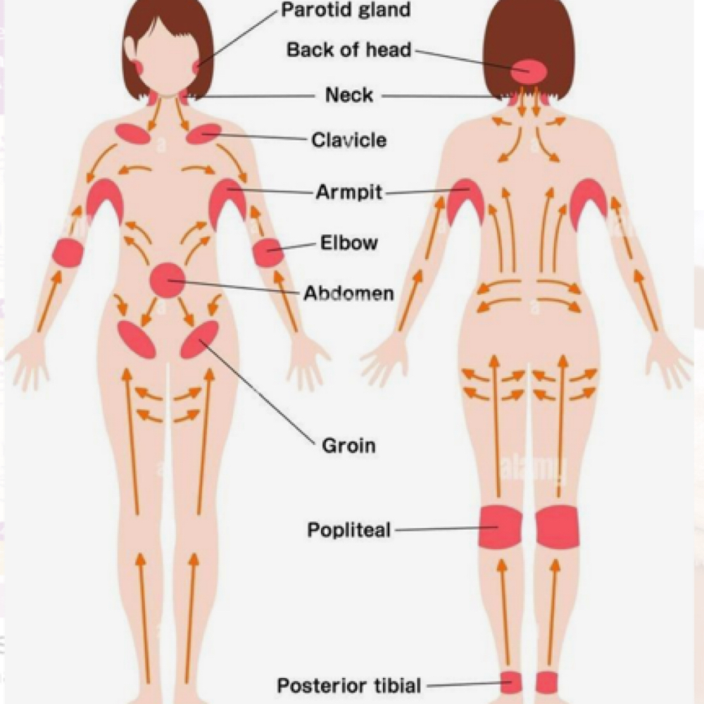 Full Body Lymphatic Massage W Face at Bliss Med Spa in Riverside, IL